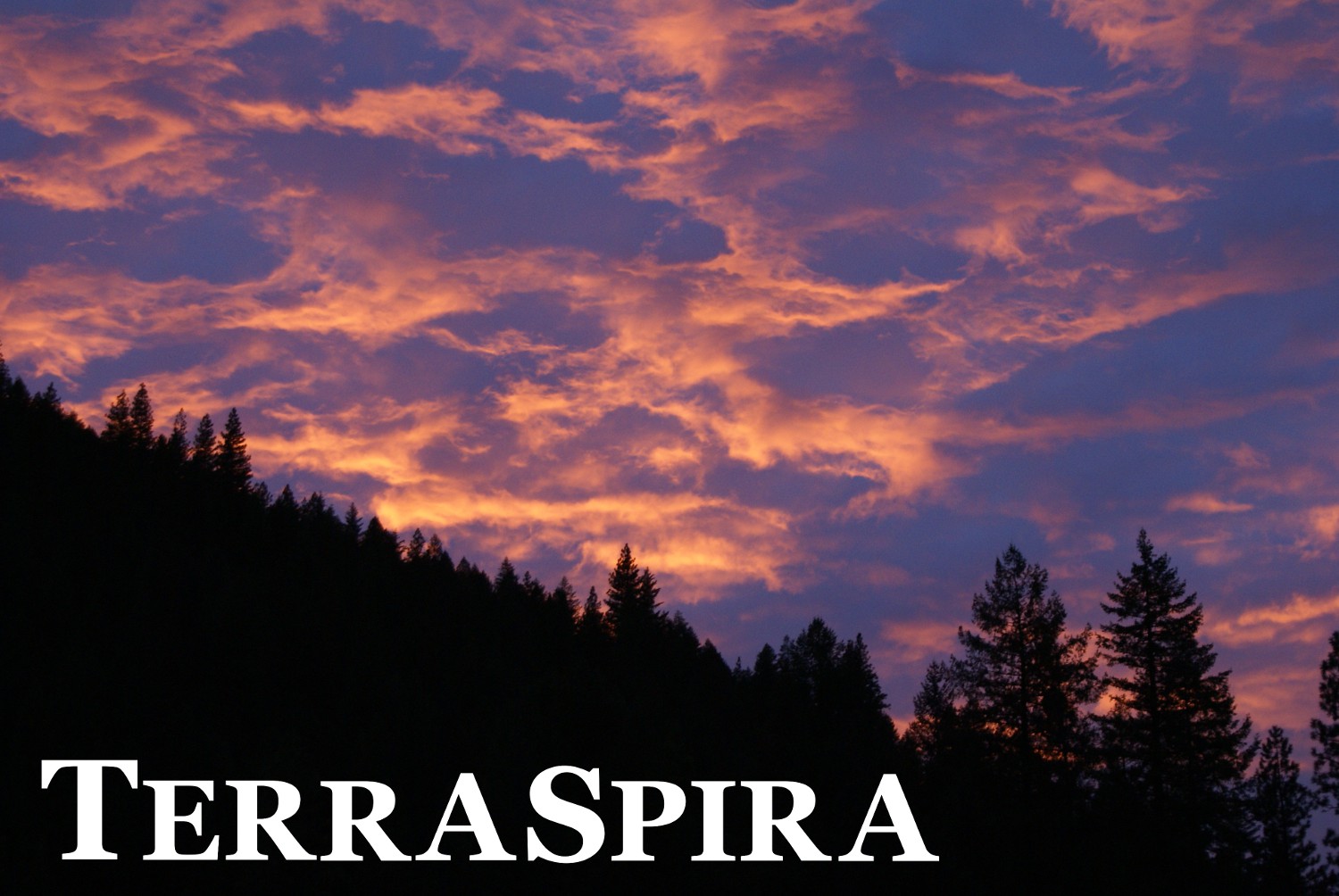 Terraspira Home Page Image